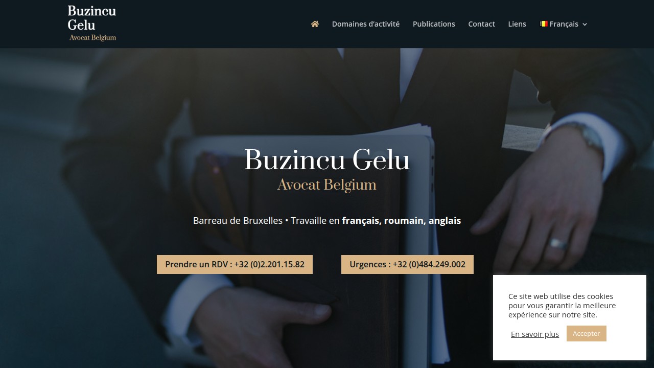 Screenshot of Avocat Gelu Buzincu (ORTELIUS) website