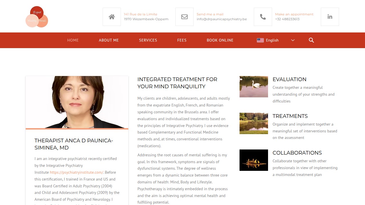 Screenshot of Dr. Anca Paunica - Psihiatru website