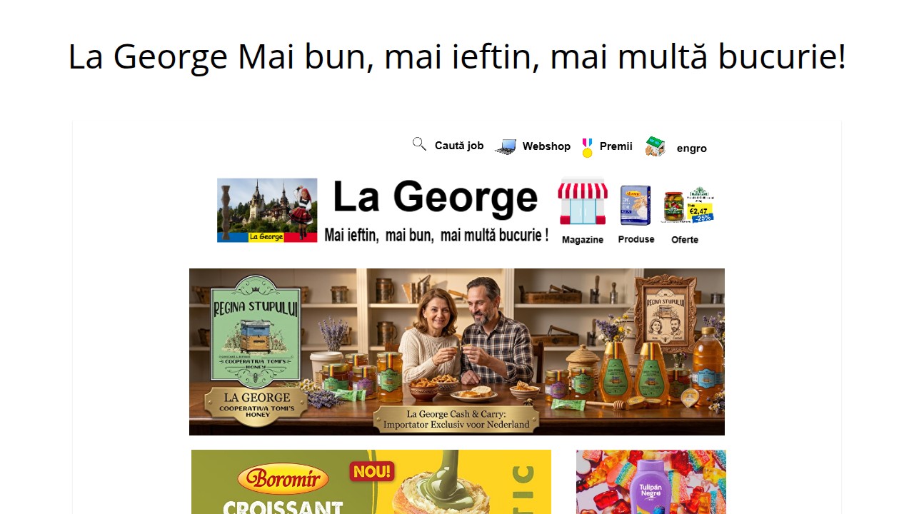 Screenshot of La George website