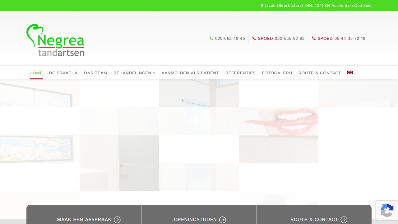 Screenshot of Negrea Tandartsen website