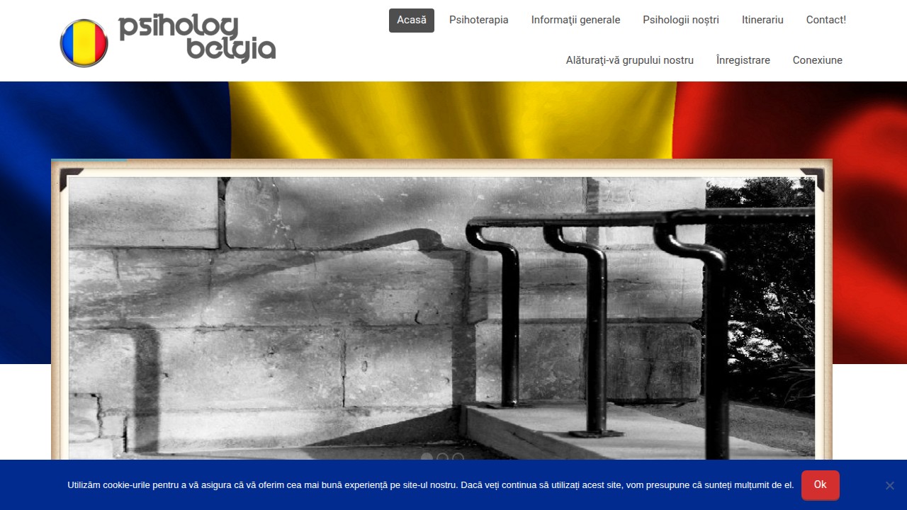 Screenshot of Psiholog in Belgia website