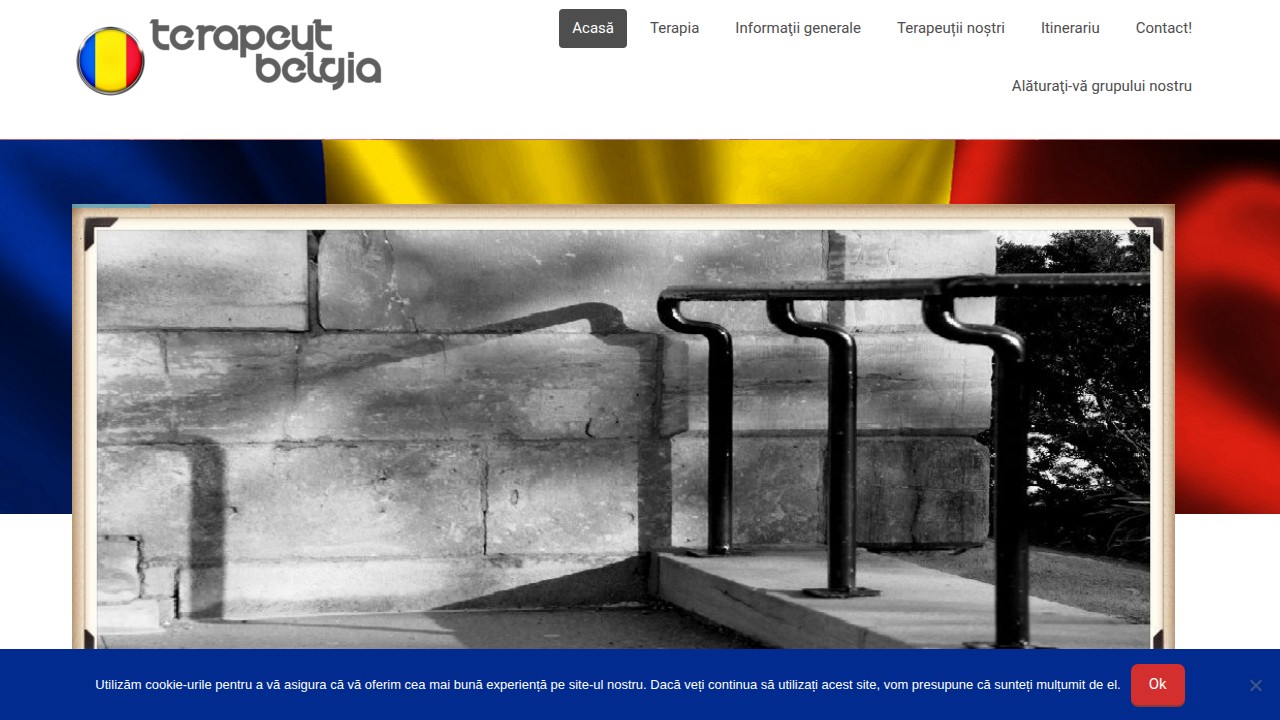 Screenshot of Terapeut in Belgia website